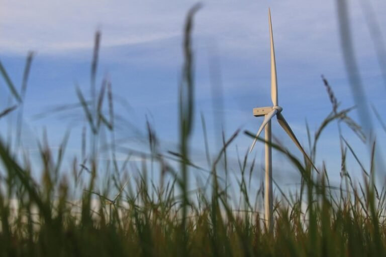 advanced digital growth strategies